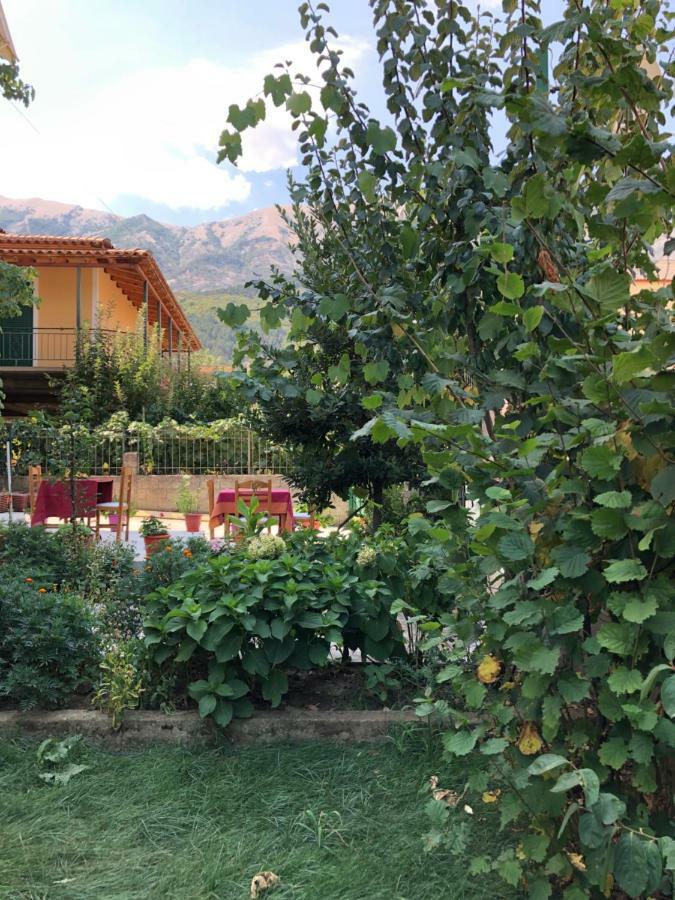 Hotel Villa Ago Përmet Eksteriør billede